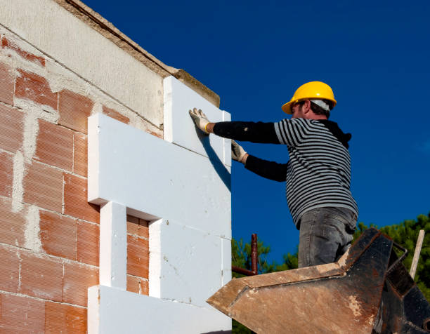 Best Energy-efficient Insulation  in Springville, UT