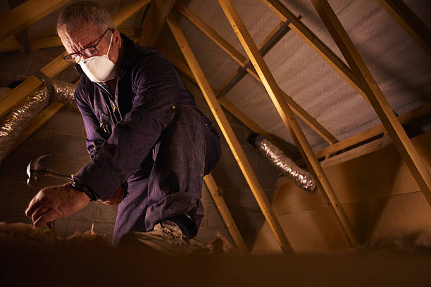 Best Spray Foam Insulation  in Springville, UT